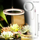 Plant Halo Grow Light