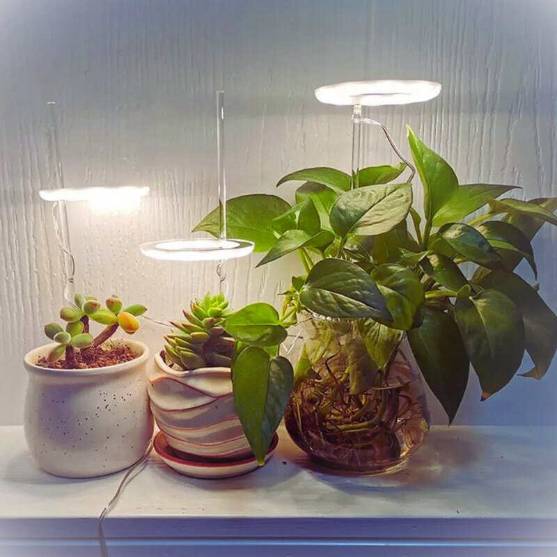 Plant Halo Grow Light